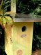 Vogelhuisje van grenen hout- vogelhuis-vogel-tuindeco - 3 - Thumbnail