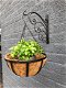 Wandhaak metaal met hangmand voor een mooie plant - 0 - Thumbnail