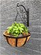 Wandhaak metaal met hangmand voor een mooie plant - 2 - Thumbnail
