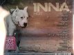 inna - hot ( cd 14 tracks 5948204431327 gratis verzenden ) - 1 - Thumbnail