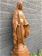 Mooi Maria beeld vol steen-oxid.- beeld - 5 - Thumbnail
