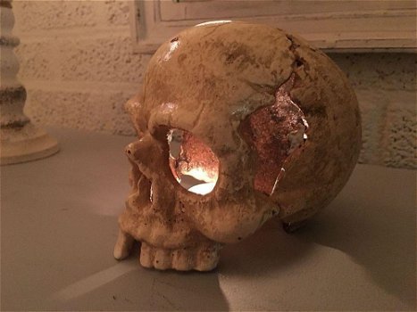 1 anatomische schedel, uit gietijzer-white-rust - 0
