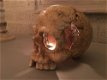 1 anatomische schedel, uit gietijzer-white-rust - 0 - Thumbnail