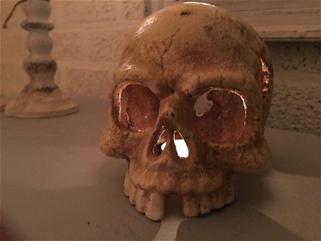 1 anatomische schedel, uit gietijzer-white-rust - 4