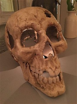 1 grote anatomische schedel,gietijzer-white-rust-schedel - 0