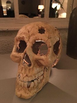 1 grote anatomische schedel,gietijzer-white-rust-schedel - 4