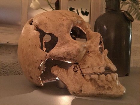 1 grote anatomische schedel,gietijzer-white-rust-schedel - 7