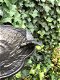1 vogelbad met Hummingbird, gietijzer, antiek black-rust - 5 - Thumbnail