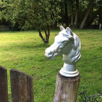 Decoratief paardenhoofd, gegoten aluminium-paard - 1