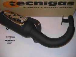 Uitlaat Tecnigas Silent Pro Honda Scoopy SH < Nt Na 1996