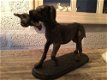jachthond met prooi in brons-metaal-look.-jacht - hond - 6 - Thumbnail