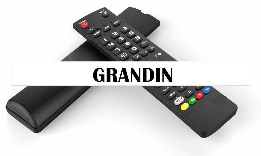 Vervangende afstandsbediening voor de Grandin apparatuur. - nr. 1