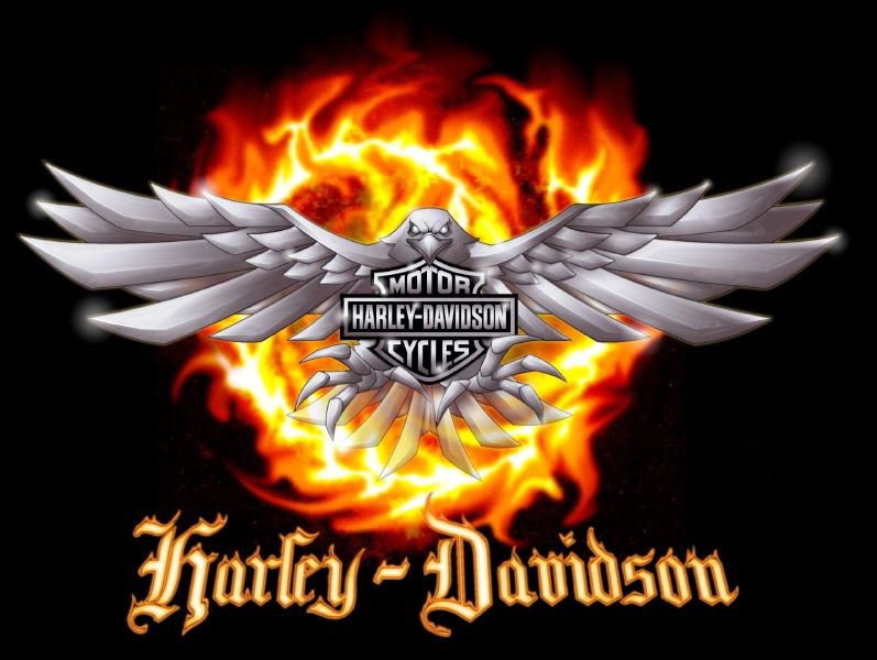 DE GOOTSTE KEUZE WERKPLAATSBOEKEN VOOR HARLEY DAVIDSON - nr. 1