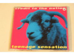 214s - cd single - teenage sensation - credit to the nation - 4 nrs - nr. 1