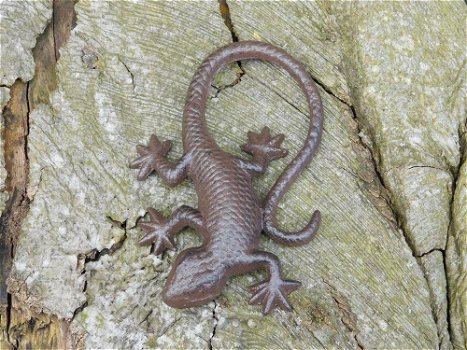 Mooie hagedis, gekko als decoratie-gietijzeren salamander - 1