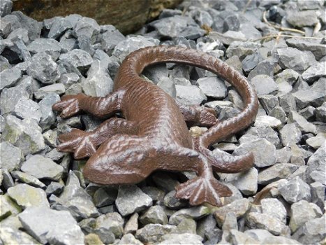 Mooie hagedis, gekko als decoratie-gietijzeren salamander - 3