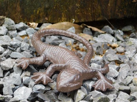 Mooie hagedis, gekko als decoratie-gietijzeren salamander - 4