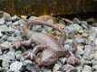 Mooie hagedis, gekko als decoratie-gietijzeren salamander - 4 - Thumbnail