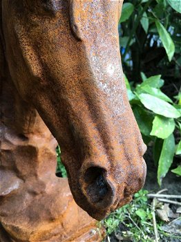 Paarden hoofd gemaakt van ijzer-paard -deco tuin-hoofd - 3