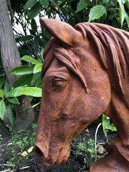 Paarden hoofd gemaakt van ijzer-paard -deco tuin-hoofd - 6