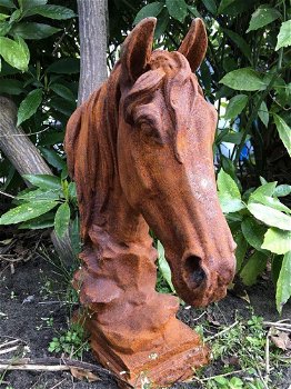 Paarden hoofd gemaakt van ijzer-paard -deco tuin-hoofd - 7