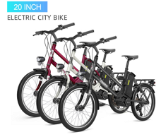 YADEA YT300 20 inch Electric  Bike 350W 25km/h  60km Range