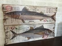 Set van 2 Houten wandborden-daarop: makreel&tonijn