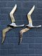 Paar forse silhouette meeuwen -vogel-aluminium,meeuw - 0 - Thumbnail