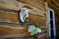 Stierenkop met ring, country style-stier-handoek drager - 3 - Thumbnail