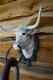 Stierenkop met ring, country style-stier-handoek drager - 5 - Thumbnail