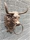 Stierenkop met ring, country style, bruin-stier-deco - 0 - Thumbnail