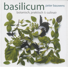 Basilicum, Peter Bauwens