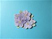j001Jeanine / bloemen - 0 - Thumbnail