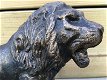Leeuw bronslook, massief gietijzer, mooi -leeuw - 6 - Thumbnail