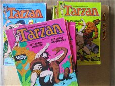 adv4584 tarzan veertiendaags