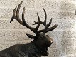 Prachtig beeld van een staand damhert -hert -jacht - 4 - Thumbnail