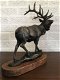 Prachtig beeld van een staand damhert -hert -jacht - 6 - Thumbnail