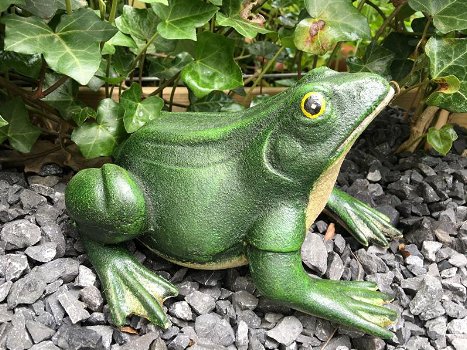 Prachtige gietijzeren kikker, mooi bij de vijver-deco-tuin - 0