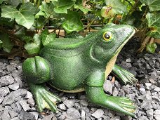 Prachtige gietijzeren kikker, mooi bij de vijver-deco-tuin