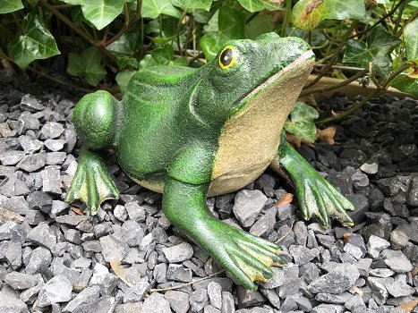 Prachtige gietijzeren kikker, mooi bij de vijver-deco-tuin - 1