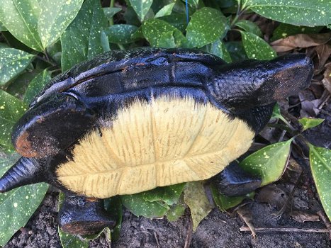 Schildpad bronslook, massief gietijzer, -schildpad-tuin - 3