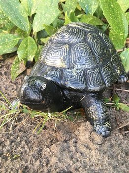 Schildpad bronslook, massief gietijzer, -schildpad-tuin - 4