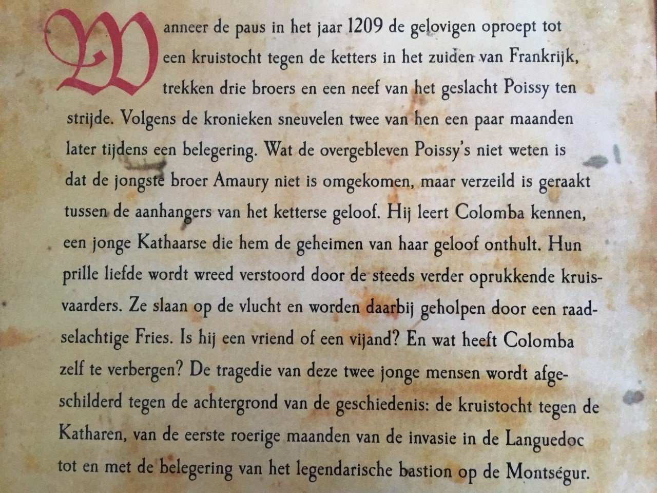 De volmaakte ketter - Hanny Alders - Afbeelding 2