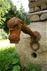 1 waterspuwer gietijzer - water fontein-tuin deco - 2 - Thumbnail