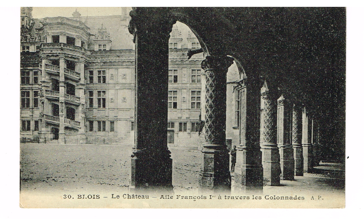30. biois le chateao Alle Francois I" á travers les coloonaders A.P. (fr1}
