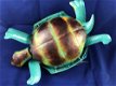 Prachtige schildpad met solar verlichting.-schilpad -pamp - 5 - Thumbnail