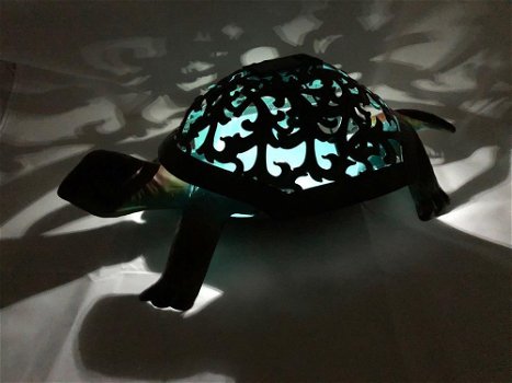 Prachtige schildpad met solar verlichting.-schilpad -pamp - 6