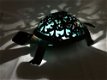 Prachtige schildpad met solar verlichting.-schilpad -pamp - 6 - Thumbnail