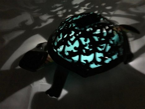 Prachtige schildpad met solar verlichting.-schilpad -pamp - 7