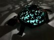 Prachtige schildpad met solar verlichting.-schilpad -pamp - 7 - Thumbnail